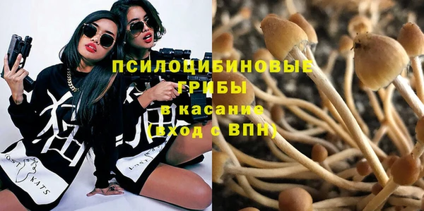 дживик Михайлов