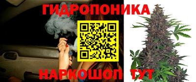 бутират Гусев