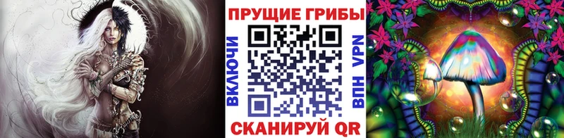 Галлюциногенные грибы MAGIC MUSHROOMS Фурманов