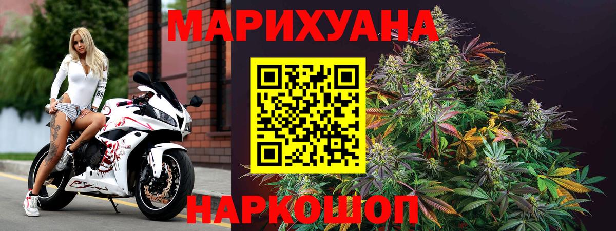 Канабис план  Фурманов  Конопля индика 